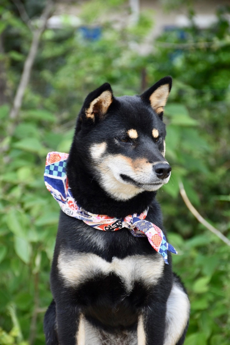 Ran Shinon Suna No Kishi